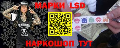 спиды Краснознаменск