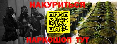 спиды Краснознаменск