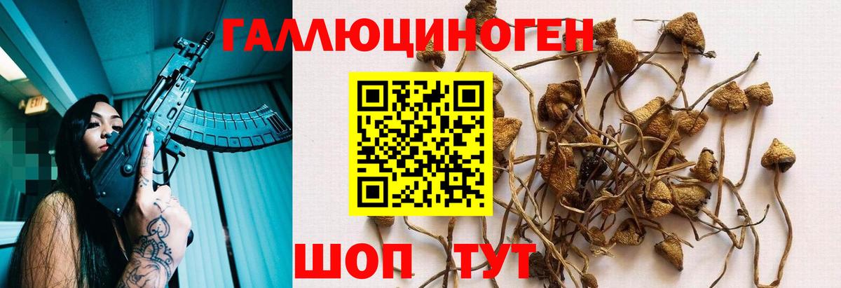 Клинцы  закладки  Вход с VPN  Псилоцибиновые грибы Psilocybe 