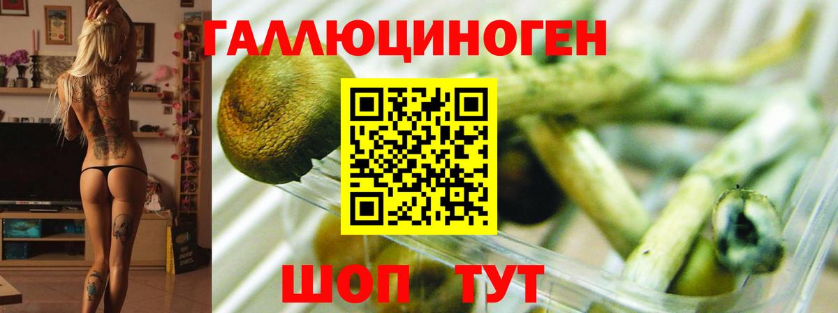 Псилоцибиновые грибы MAGIC MUSHROOMS Клинцы